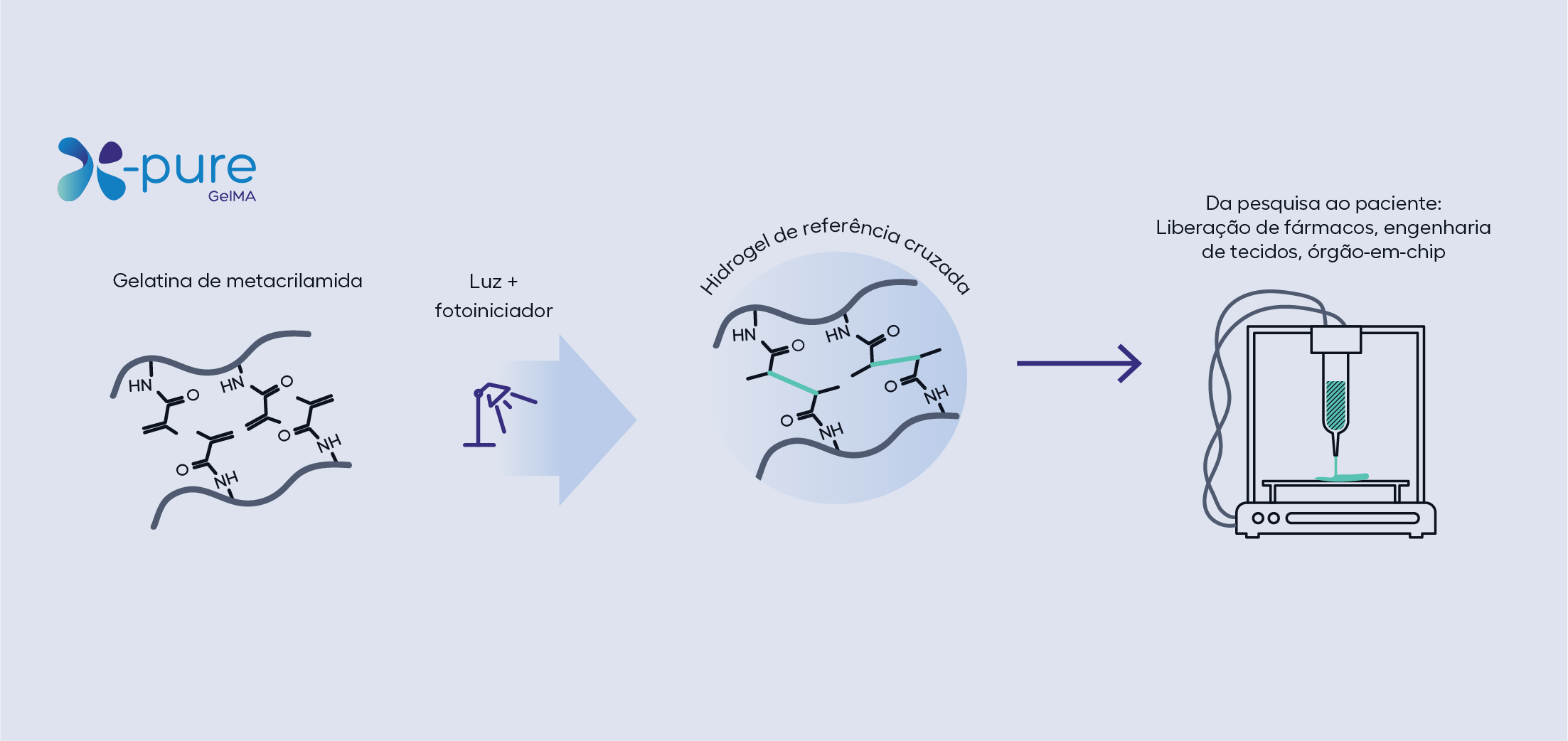 x-pure-gelma-crosslinked-hydrogel-PT