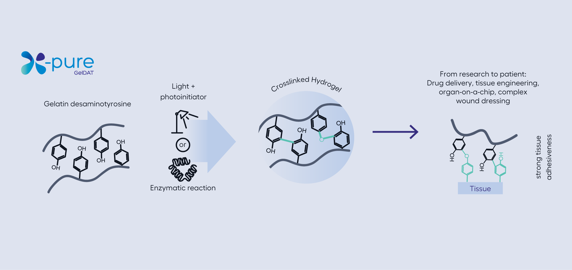 xpure-geldat-crosslinked-hydrogel.png